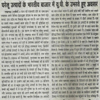 घरेलू उत्पादों के भारतीय बाज़ार में उत्तर प्रदेश के बढ़ते क़दम 
