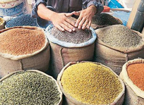 Food Processing (Pulses)